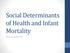 Social Determinants of Health and Infant Mortality. Ashley Busacker, PhD