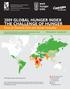 2009 GLOBAL HUNGER INDEX THE CHALLENGE OF HUNGER Focus on Financial Crisis and Gender Inequality