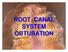 ROOT CANAL SYSTEM OBTURATION