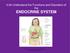 4.04 Understand the Functions and Disorders of the ENDOCRINE SYSTEM Understand the functions and disorders of the endocrine system