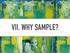 THIS CHAPTER COVERS: The importance of sampling. Populations, sampling frames, and samples. Qualities of a good sample.