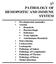 17 PATHOLOGY OF HEMOPOITIC AND IMMUNE SYSTEM
