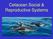 Cetacean Social & Reproductive Systems