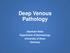 Deep Venous Pathology. Eberhard Rabe Department of Dermatology University of Bonn Germany