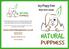 NATURAL NATURAL. Dry Puppy Food PUPPINESS PUPPINESS. Nutrition Guide.  Puppiness Rd 24 Natural City, UK