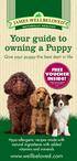 Your guide to owning a Puppy