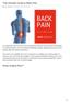 The Ultimate Guide to Back Pain
