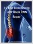 10 BEST EXERCISES FOR LOW BACK PAIN RELIEF.
