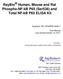 RayBio Human, Mouse and Rat Phospho-NF-kB P65 (Ser536) and Total NF-kB P65 ELISA Kit
