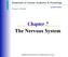 The Nervous System. Chapter 7. Essentials of Human Anatomy & Physiology. Elaine N. Marieb. Seventh Edition