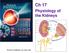 Ch 17 Physiology of the Kidneys