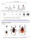It's tick time again! Recognizing black-legged (deer ticks) and measuring the spread of Lyme disease