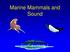 Marine Mammals and Sound