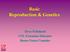 Basic Reproduction & Genetics. Steve Pritchard UNL Extension Educator Boone-Nance Counties