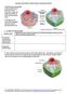 Structure and Function of Cells, Organs and Organ Systems 1