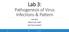 Lab 3: Pathogenesis of Virus Infections & Pattern 450 MIC PRACTICAL PART SECTION (30397) MIC AMAL ALGHAMDI 1