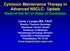 Cytotoxic Maintenance Therapy in Advanced NSCLC: Update State of the Art or State of Confusion