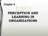 Chapter 3 PERCEPTION AND LEARNING IN ORGANIZATIONS