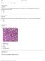 Blood Cells Med Terms Quiz