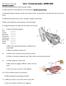 Unit 4: The Muscular System REVIEW GUIDE