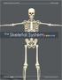 the Skeletal System provided by Academic Web Services Grand Canyon University