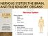 NERVOUS SYSTEM, THE BRAIN, AND THE SENSORY ORGANS