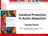 Cerebral Protection In Aortic dissection
