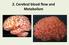 2. Cerebral blood flow and Metabolism