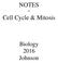 NOTES. Cell Cycle & Mitosis