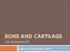 BONE AND CARTILAGE LIA DAMAYANTI. Department of Histology - FMUI