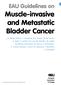 EAU Guidelines on Muscle-invasive and Metastatic Bladder Cancer