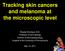 Tracking skin cancers and melanoma at the microscopic level