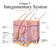 Chapter 5. Integumentary System 5-1