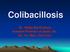 Colibacillosis. Dr./ Wafaa Abd El-ghany Assistant Professor of poultry dis., Fac. Vet. Med., Cairo Univ.