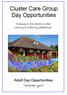 Cluster Care Group Day Opportunities