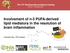 Involvement of n-3 PUFA-derived lipid mediators in the resolution of brain inflammation