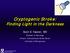 Cryptogenic Stroke: Finding Light in the Darkness
