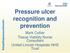 Pressure ulcer recognition and prevention. Mark Collier Tissue Viability Nurse Consultant United Lincoln Hospitals NHS Trust
