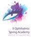 II Ophthalmic Spring Academy. May 20 th -24 th 2014 Cracow, Hotel Galaxy