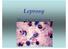Leprosy. Mycobacteriumleprae