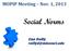 MOPIP Meeting Nov. 1, Social Norms. Dan Reilly