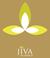 THERAPIES. The philosophy of Jiva Spa is inherently rooted in India s. ancient approach to wellness. Inspired by traditional Indian