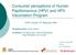 Consumer perceptions of Human Papillomavirus (HPV) and HPV Vaccination Program