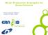Novel Production Strategies for Biosurfactants. Project acronym: BioSurf. Project no: EIB