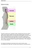 Spinal Column. Anatomy Of The Spine