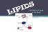 The Effects of Lipids on the Body
