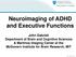 Neuroimaging of ADHD and Executive Functions