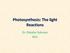 Photosynthesis: The light Reactions. Dr. Obaidur Rahman NSU