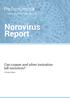 Norovirus Report. Can copper and silver ionisation kill norovirus? A Study Report