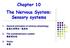 Chapter 10 The Nervous System: Sensory systems